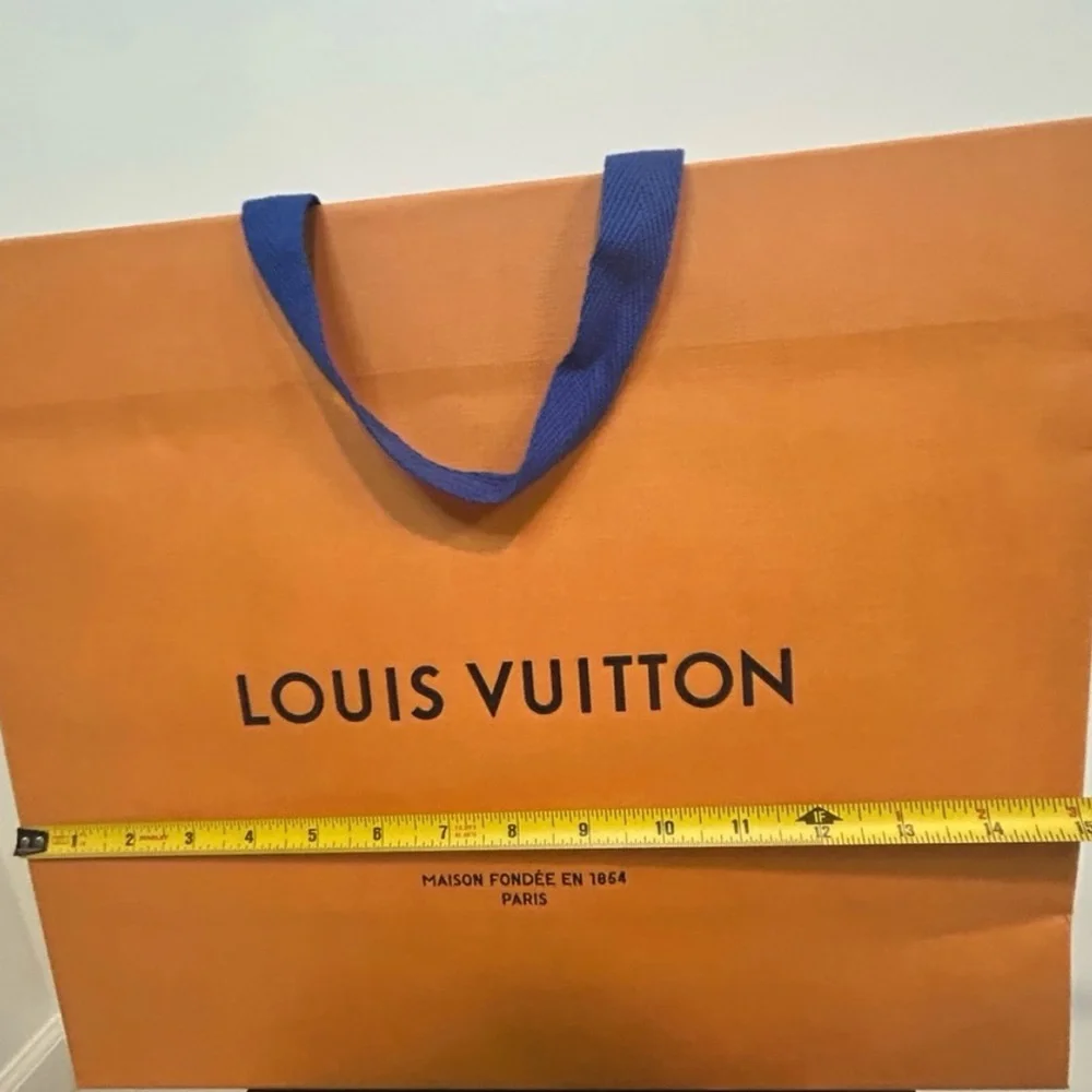 Louis Vuitton gift bag